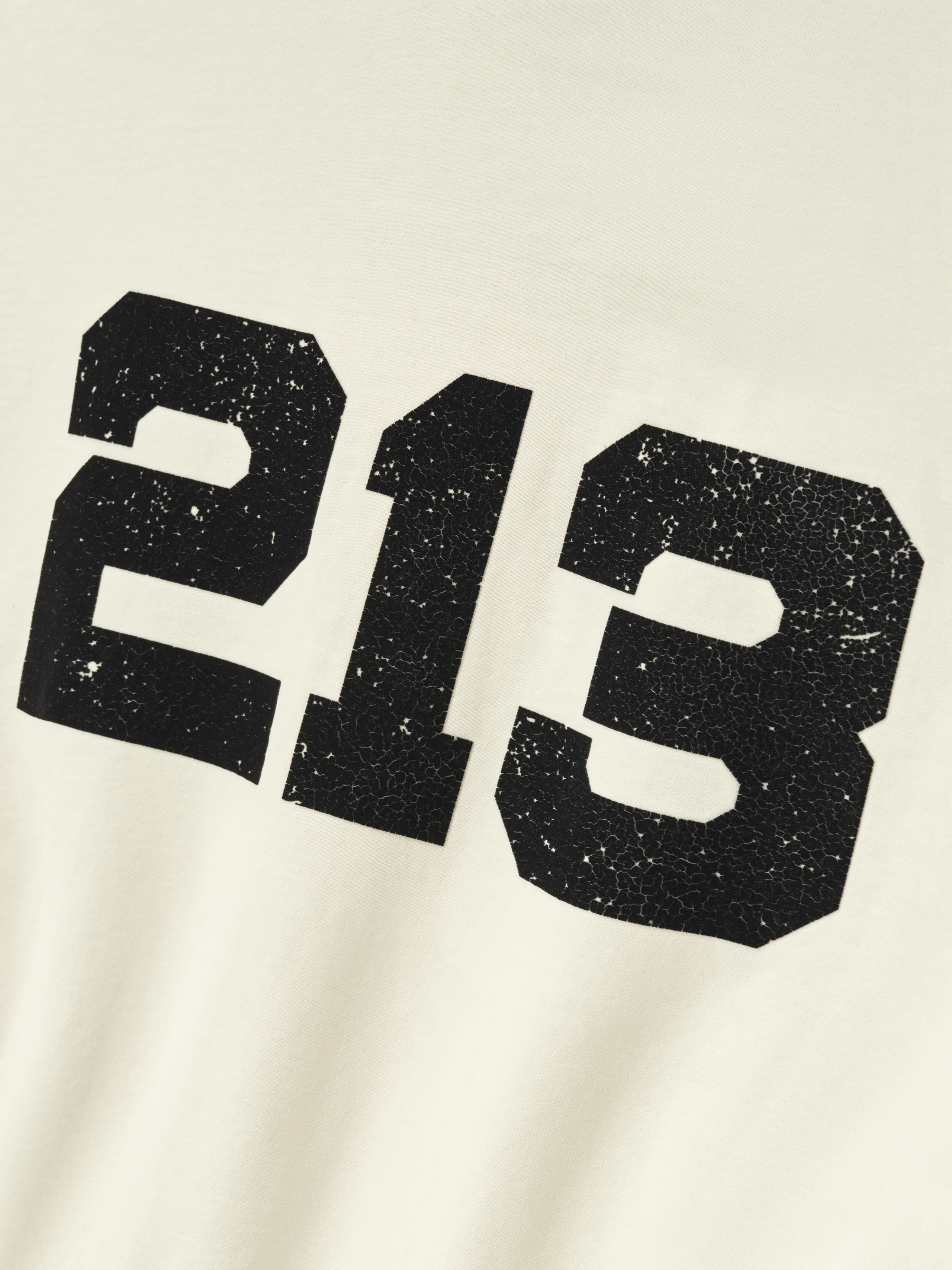 213 Chapter Hoodie - Image 4